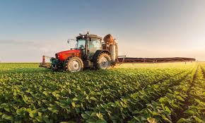 Breve comentario sobre colocaciones en el sistema financiero de productores de granos