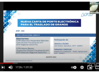 Nueva Carta de Porte Electrónica para el Transporte de Granos: charla AFIP