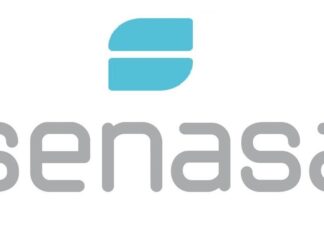Res 808/2025. SENASA. Domicilio Electrónico Obligatorio. Efectos legales. Implementación. Datos a informar. Plazos