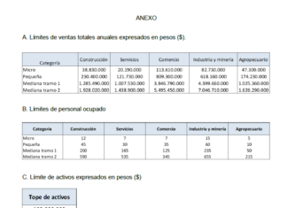 Res 23/2022. MDP. MiPyMEs. Categorización. Ventas anuales. Topes. Suba