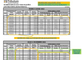 📊 MONOTRIBUTO 2022: Tabla híbrida de categorización por semestre