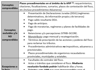 Inicio de la Feria Fiscal. Período Invernal 2023. Efectos, alcance y ejemplos. Esquema. 17 al 28/07/2023