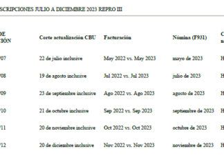 Res 729/2023. MTESS. Laboral. Empleadores. REPRO. Subsidio. Solicitud. Parámetros. Plazos. Fechas. Cronograma. Jun. a Dic. 2023