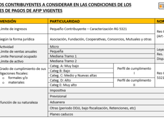 🔎 Deudas AFIP. Planes de pagos vigentes: cuadros y particularidades. Beneficios especiales a MiPyMEs
