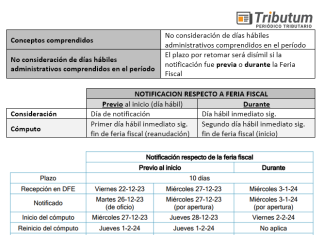 Feria Fiscal. Verano 2024: Efectos. Alcance. Requerimientos, Regímenes de información, DDJJ IVA y Ganancias diferencial