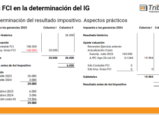 Fondos Comunes de Inversión y CEDEAR: su tratamiento en el impuesto a las ganancias por parte de los sujetos empresa