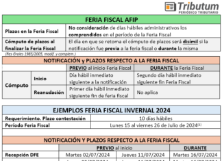 Feria Fiscal. Período Invernal 2024. Efectos, alcance y ejemplos. Esquemas. 15 al 26/07/2024