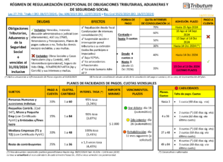 CUADRO GUIA: Moratoria y Plan de Facilidades de Pago. Ley 27.743 (Título I)