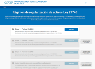 Blanqueo: AFIP habilita carga de la Etapa 1. Pantallas