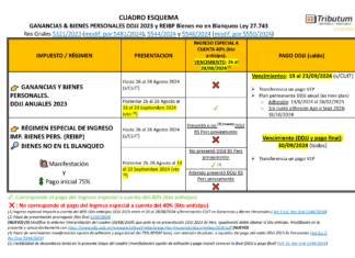 CUADROS ESQUEMAS: Ganancias & Bienes Personales DDJJ 2023 y REIBP frente al 6to anticipo del 40% y Temporalidad » Mini Plan»
