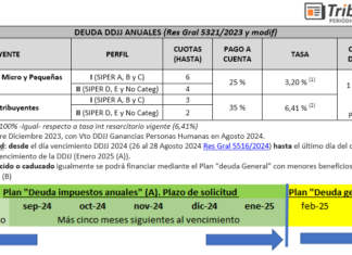 Nuevo «mini plan» para saldos DDJJ anuales ya en su segundo año de vigor. Tabla y línea temporal de solicitud