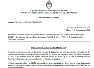 Dictamen DNI. Paquete Fiscal. Ley 27.743. Bienes Personales. REIBP. Preguntas y respuestas