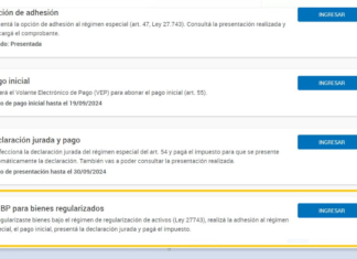 REIBP de Bienes regularizados (Blanqueo en Etapa 1): ya operativo!