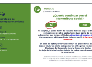 Res 603/2024. MCH. Monotributo Social. Programas Sociales. Efector social. Reempadronamiento. Baja de oficio