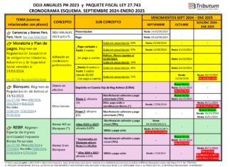 CRONOGRAMA ESQUEMA: DDJJ 2023 PH y Paquete Fiscal Ley 27.743 con su PRÓRROGA y sus plazos Sep 2024 a Enero 2025 (al 01/10/2024)
