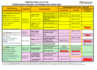 Blanqueo, REIB y Moratoria (Paquete Fiscal Ley 27.743): vencimientos particulares 28 al 31/10/2024