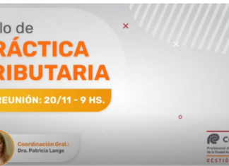 CPCECABA. Ciclo de Práctica Tributaria. Noviembre 2024