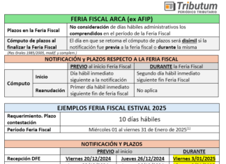 Inicio 1er día hábil de la «Feria Fiscal. Verano 2025»: Efectos, alcance y ejemplos. Plazos. DDJJ Informativas, IVA y Ganancias diferencial
