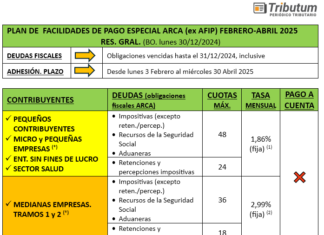 Deudas ARCA: nuevo Plan de Facilidades de pago con beneficios en tasas, cuotas y sin pago a cuenta. Cuadro único según contribuyente