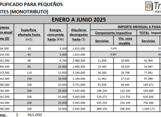MONOTRIBUTO 2025: Tabla de categorización Enero-Junio 2025