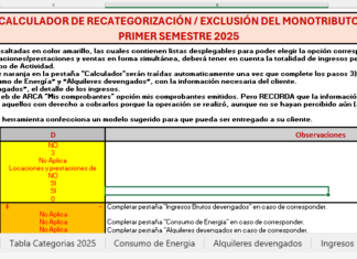 MONOTRIBUTO. Herramienta para evaluar recategorización y exclusión en el Régimen