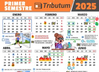 Cronograma de principales vencimientos tributarios: I Semestre 2025 con nuevos plazos DDJJ 2024 de Ganancias Personas Humanas