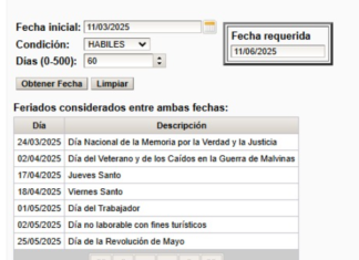 Ganancias y Bienes Personales. Personas Humanas. DDJJ 2024: aplicativos disponibles próximamente