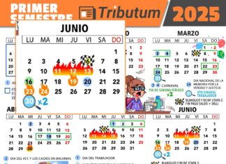 Ganancias y Bienes Personales DDJJ 2024: YA SE ENCUENTRAN DISPONIBLES LOS APLICATIVOS