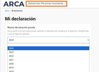 Ganancias y Bienes Personales. Personas Humanas. DDJJ 2024: aplicativos ya disponibles restando tablas de valuaciones
