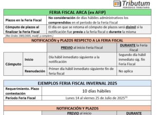 🥶Feria Fiscal. Período Invernal 2025. Efectos, alcance y ejemplos. Cómputo de plazos. Esquemas y Cuadros. 14 al 25/07/2025