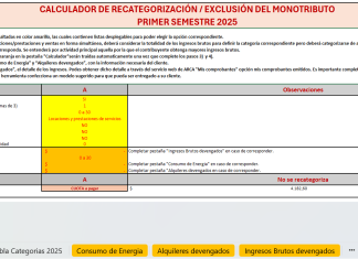 MONOTRIBUTO. Herramienta para evaluar recategorización Julio 2025 y exclusión en el Régimen