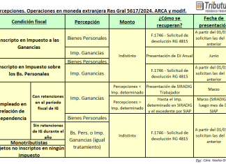 CUADRO ESQUEMA: devolución o recupero de percepciones ARCA (ex AFIP) sufridas por operaciones en moneda extranjera