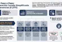 DJ Simplificada de Ganancias: Micrositio + Manual ARCA