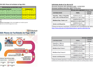 🏦Ganancias y Bs Personales DDJJ 2025: Mini Plan de pago permanente unificado. Tabla y línea temporal de solicitud de adhesión