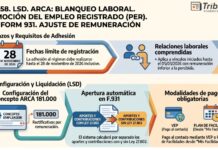 Guía 58. LSD. ARCA: Blanqueo laboral. Promoción del Empleo Registrado (PER). DDJJ Form 931. Ajuste de Remuneración