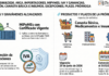 Res Gral 5868/2026. ARCA. Importadores. MiPyMEs. IVA y Ganancias. Percepción. Canasta básica e insumos. Excepciones. Plazo. Prórroga