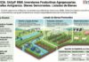 Res 75/2026. RIMI. Inversiones Productivas Agropecuarias. Riego. Mallas Antigranizo. Bienes Semovientes. Listado