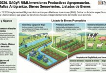 Res 75/2026. RIMI. Inversiones Productivas Agropecuarias. Riego. Mallas Antigranizo. Bienes Semovientes. Listado