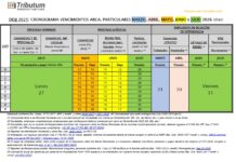 Cronograma vencimientos Ganancias & Bienes Personales DDJJ 2025: Marzo-Julio 2026. Prórroga diferencial