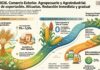 Dec 423/2026. Comercio Exterior. Agropecuario y Agroindustrial. Derechos de exportación. Alícuotas. Reducción inmediata y gradual