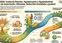 Dec 423/2026. Comercio Exterior. Agropecuario y Agroindustrial. Derechos de exportación. Alícuotas. Reducción inmediata y gradual