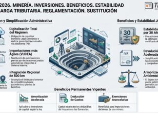 Dec 482/2026. Minería. Inversiones. Beneficios. Estabilidad fiscal. Carga tributaria. Reglamentación. Sustitución