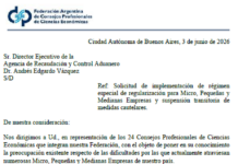 FACPCE solicitó a ARCA un Régimen Especial de Regularización para PyMEs
