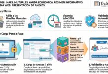 Res 1279/2026. INAES. Mutuales. Ayuda Económica. Régimen Informativo. Plataforma Web. Presentación de Anexos