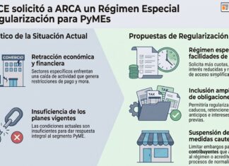 FACPCE solicitó a ARCA un Régimen Especial de Regularización para PyMEs