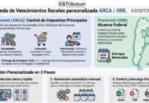 📆 Agenda de Vencimientos Personalizada Tributum: Agosto 2026 ✔