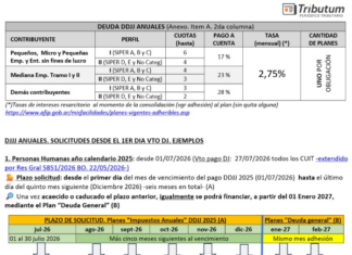 Ganancias y Bs Personales DDJJ 2025: Mini Plan de pago YA HABILITADO. Solicitud paso a paso, pantallas, tabla y plazos