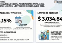 Res 187/2026. ANSES. Seguridad Social. Asignaciones Familiares. Movilidad. Montos. Límites de Ingresos. Julio 2026. Subas