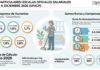 Casas Particulares: ESCALAS oficiales salariales Agosto a Diciembre 2026 (UPACP)