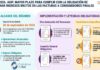 Res 312/2026. AGIP. Mayor plazo para cumplir con la obligación de discriminar Ingresos Brutos en las facturas a consumidores finales